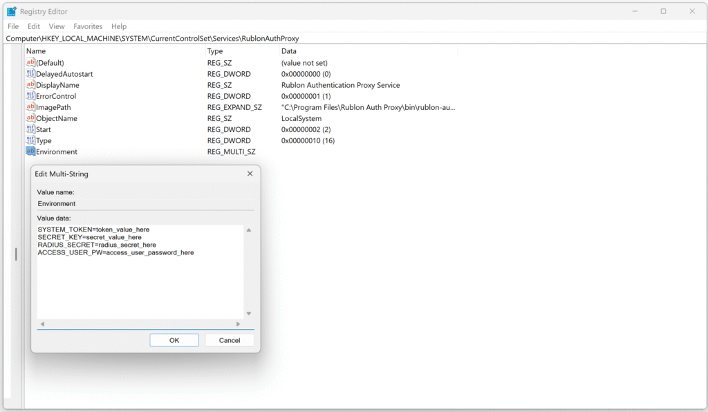 Image showing how to set the values of secrets in environment variables in Windows Registry.
